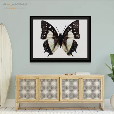 تابلو پروانه - اسپو دکور