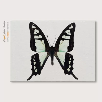 تابلو پروانه - اسپو دکور