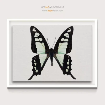 تابلو پروانه - اسپو دکور