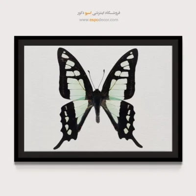تابلو پروانه - اسپو دکور
