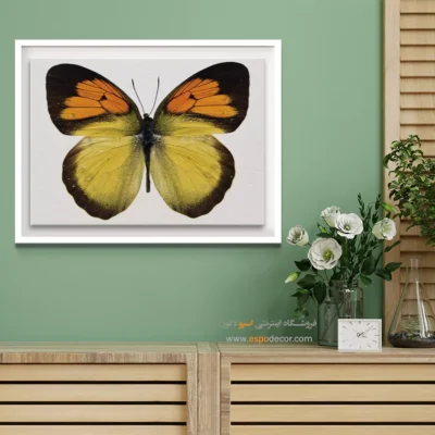 تابلو پروانه - اسپو دکور