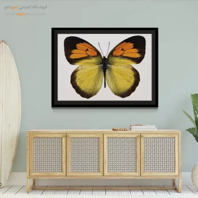 تابلو پروانه - اسپو دکور