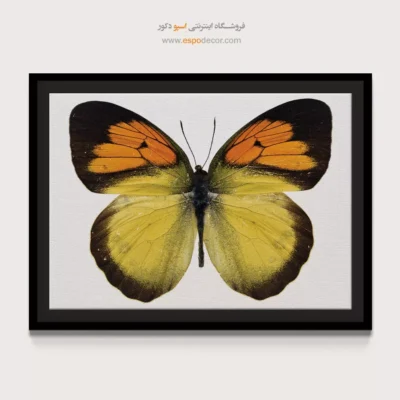 تابلو پروانه - اسپو دکور
