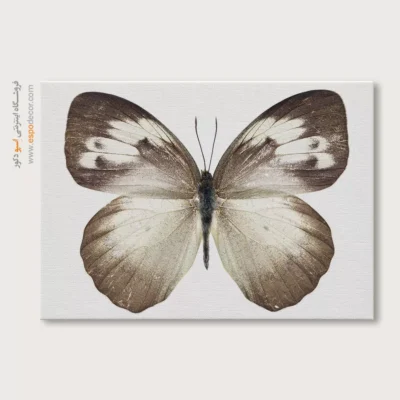 تابلو پروانه - اسپو دکور