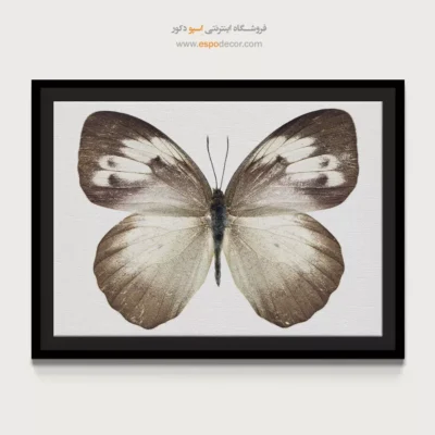 تابلو پروانه - اسپو دکور
