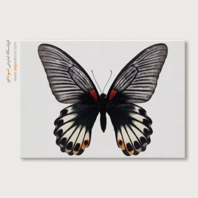 تابلو پروانه - اسپو دکور