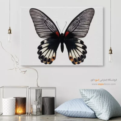 تابلو پروانه - اسپو دکور