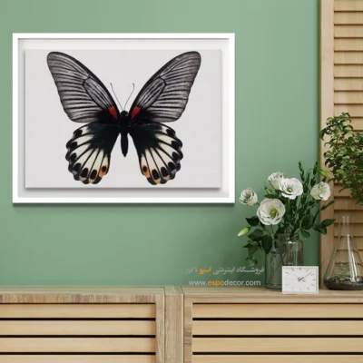 تابلو پروانه - اسپو دکور