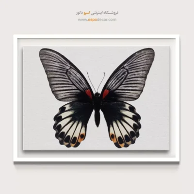 تابلو پروانه - اسپو دکور