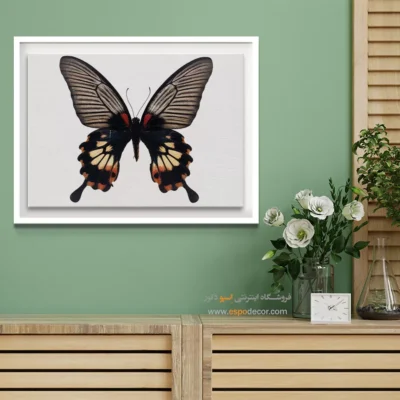 تابلو پروانه - اسپو دکور