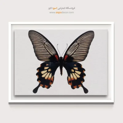 تابلو پروانه - اسپو دکور