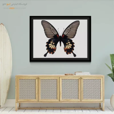 تابلو پروانه - اسپو دکور