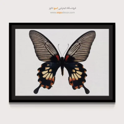 تابلو پروانه - اسپو دکور