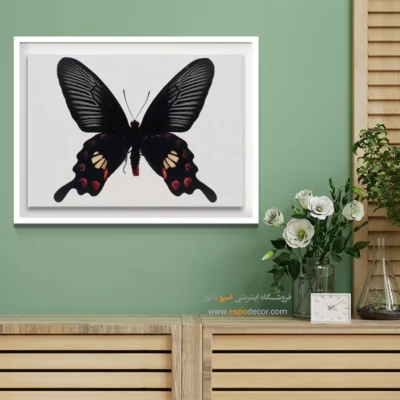 تابلو پروانه - اسپو دکور