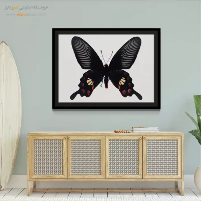 تابلو پروانه - اسپو دکور