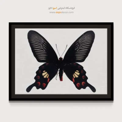 تابلو پروانه - اسپو دکور