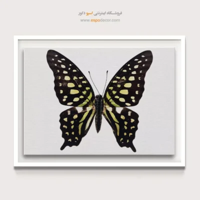 تابلو پروانه - اسپو دکور