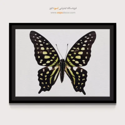 تابلو پروانه - اسپو دکور