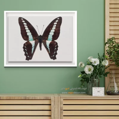 تابلو پروانه - اسپو دکور