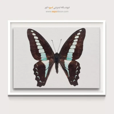 تابلو پروانه - اسپو دکور