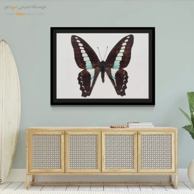 تابلو پروانه - اسپو دکور
