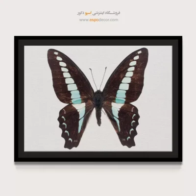 تابلو پروانه - اسپو دکور