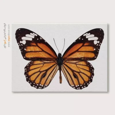 تابلو پروانه - اسپو دکور