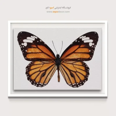 تابلو پروانه - اسپو دکور