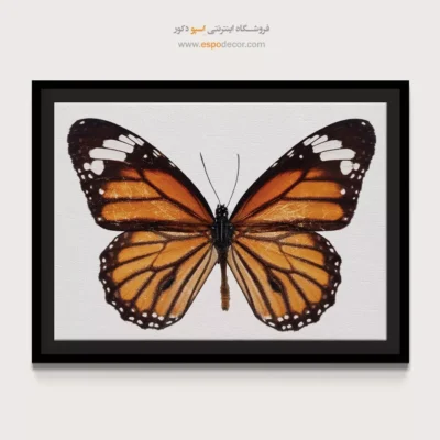 تابلو پروانه - اسپو دکور