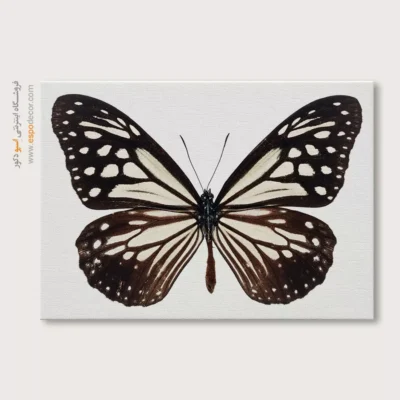 تابلو پروانه - اسپو دکور