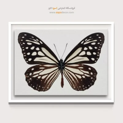 تابلو پروانه - اسپو دکور