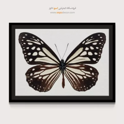 تابلو پروانه - اسپو دکور