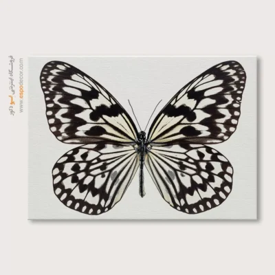 تابلو پروانه - اسپو دکور