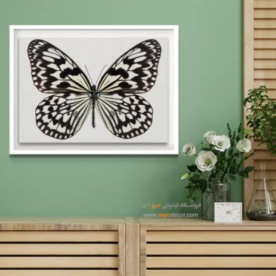 تابلو پروانه - اسپو دکور