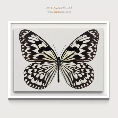 تابلو پروانه - اسپو دکور