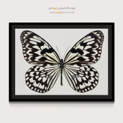 تابلو پروانه - اسپو دکور