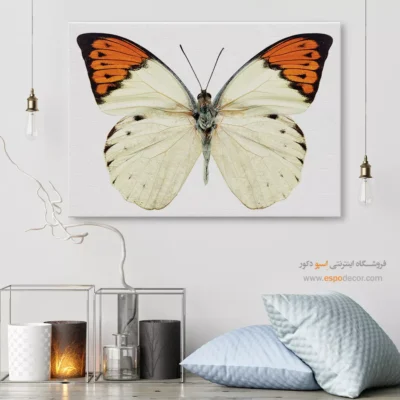 تابلو پروانه - اسپو دکور