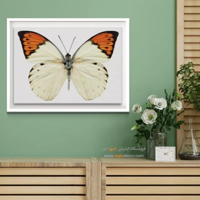 تابلو پروانه - اسپو دکور