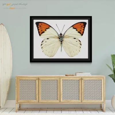 تابلو پروانه - اسپو دکور
