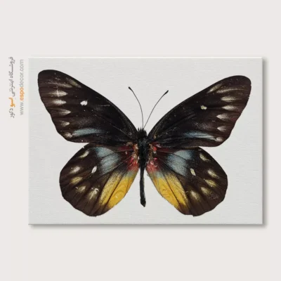 تابلو پروانه - اسپو دکور