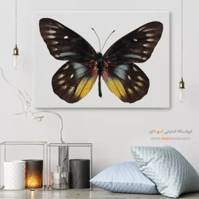 تابلو پروانه - اسپو دکور