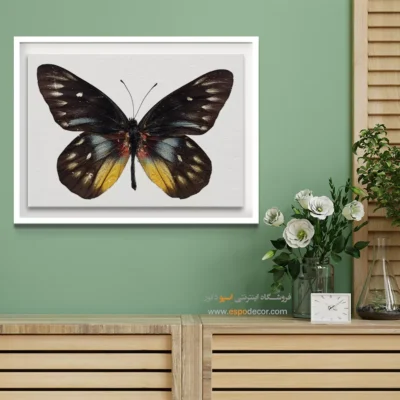 تابلو پروانه - اسپو دکور