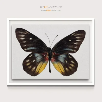 تابلو پروانه - اسپو دکور