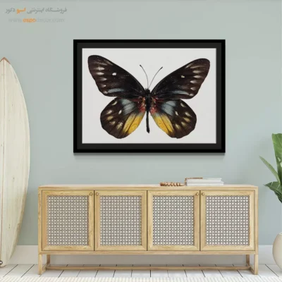 تابلو پروانه - اسپو دکور