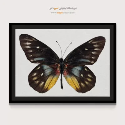 تابلو پروانه - اسپو دکور