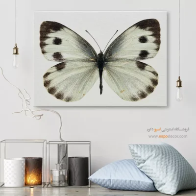 تابلو پروانه - اسپو دکور