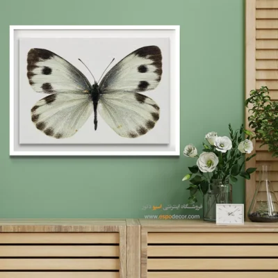 تابلو پروانه - اسپو دکور