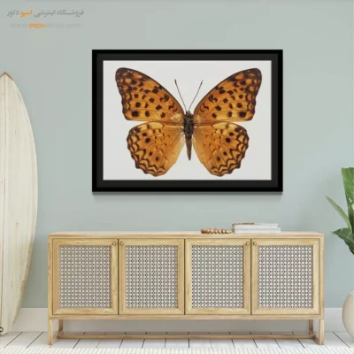 تابلو پروانه - اسپو دکور