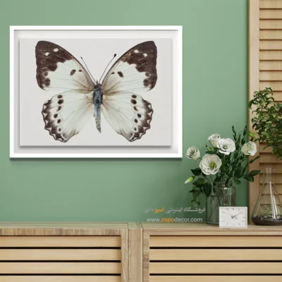 تابلو پروانه - اسپو دکور