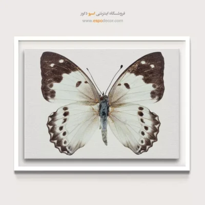 تابلو پروانه - اسپو دکور